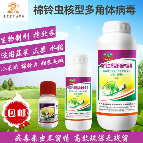 杀虫剂蛤蟆王多角体病毒棉铃虫