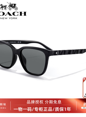 蔻驰Tabby手袋系列太阳镜