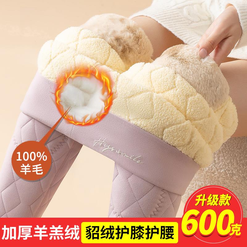 羊毛保暖裤女内穿冬季加绒加厚羊羔绒棉裤东北特厚护膝大码打底裤