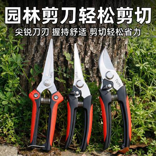 修枝剪园艺剪葡萄剪树枝专用剪刀摘果剪修剪果树园林剪花艺修花剪