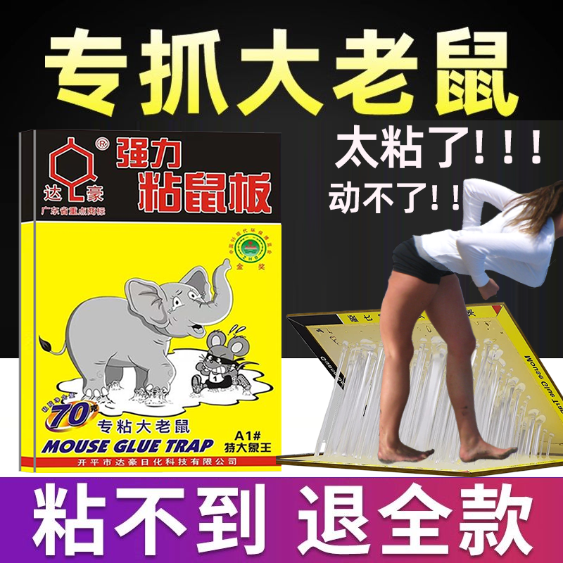 达豪粘鼠板强力胶粘大老鼠家用老鼠贴抓鼠灭捕神器粘老鼠特大象王