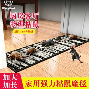魔毯老鼠贴强力粘鼠板超强家用捕鼠大号加长加宽第一窝灭鼠端全名