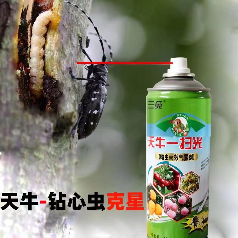 虫卵双杀天牛药钻心虫蛀木虫树洞