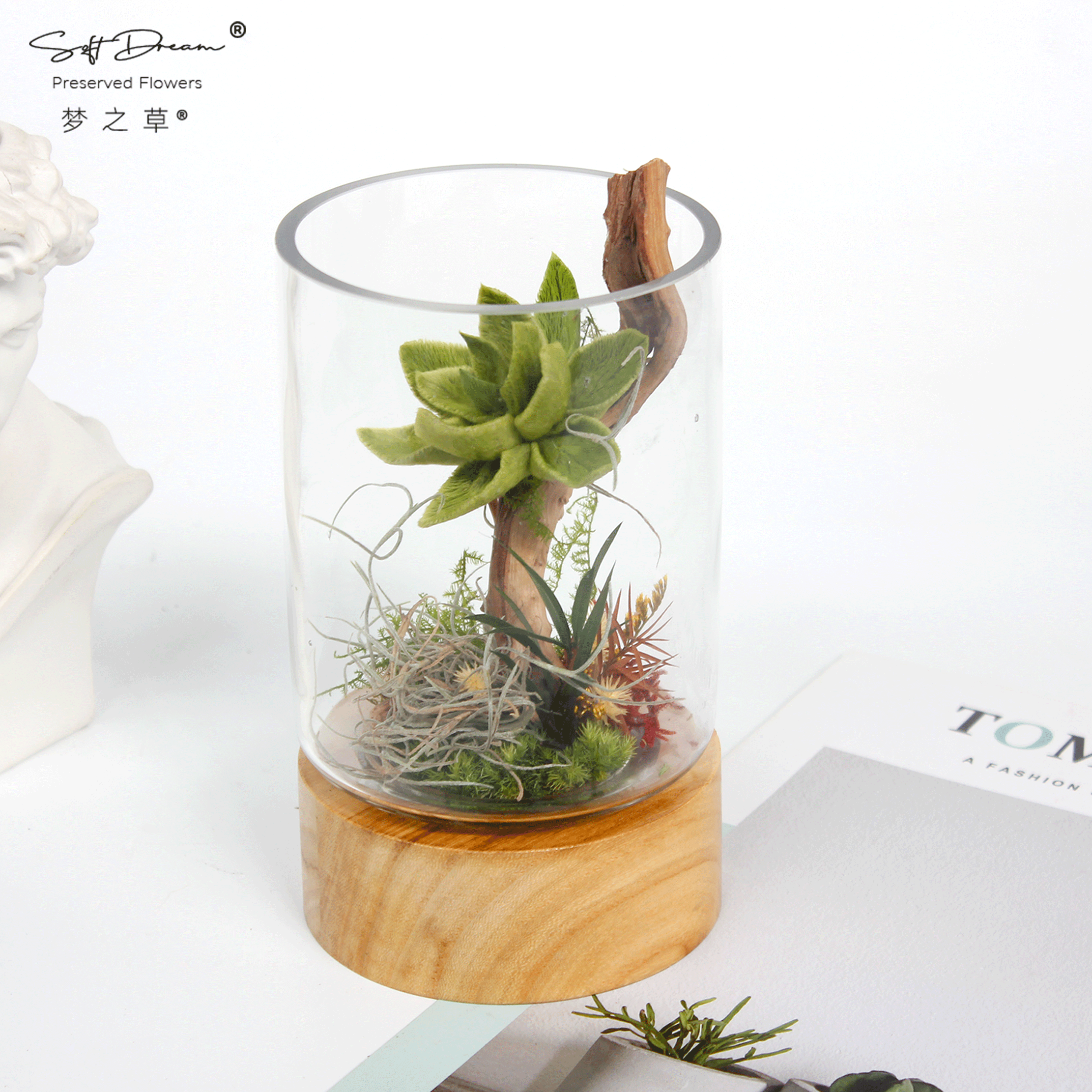 梦之草生态永生花苔藓居家摆件