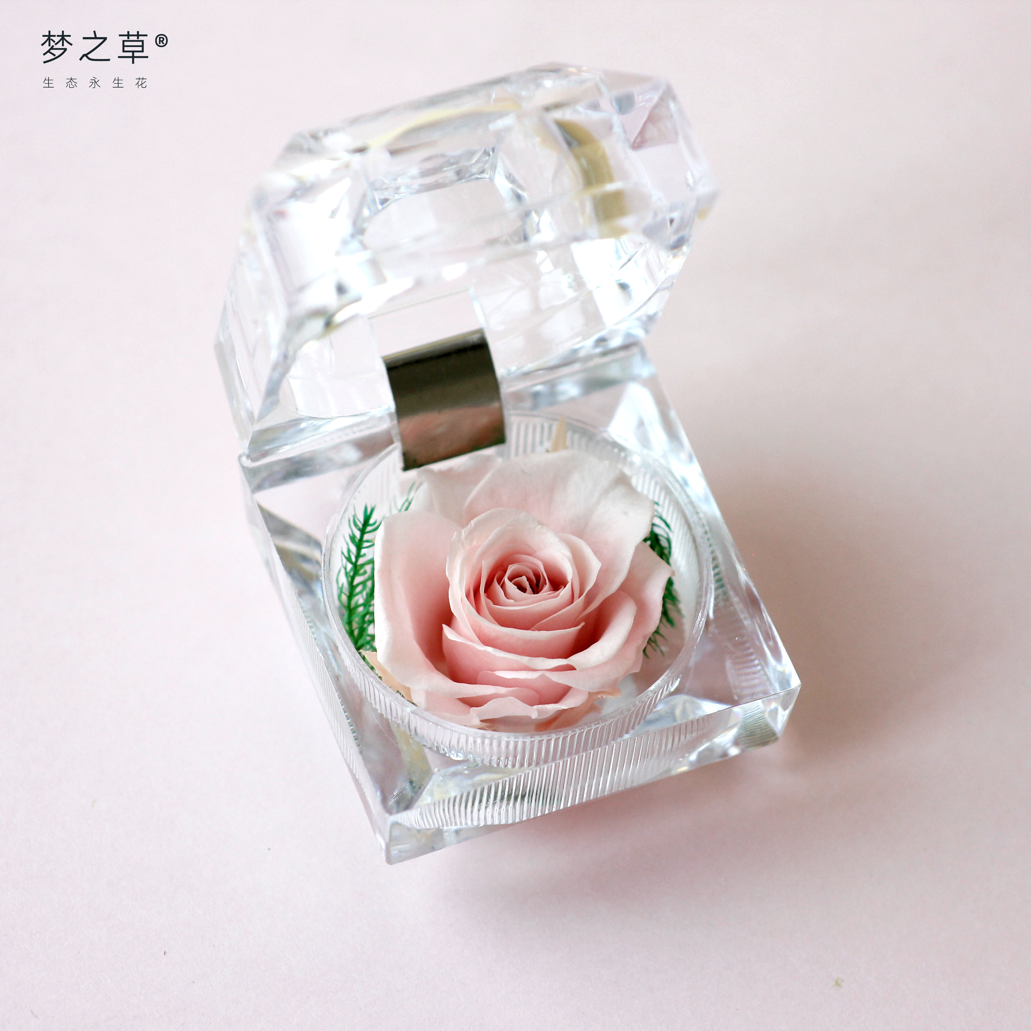 教师节礼物梦之草永生花玫瑰花透明戒指盒礼盒高级感送女友生日