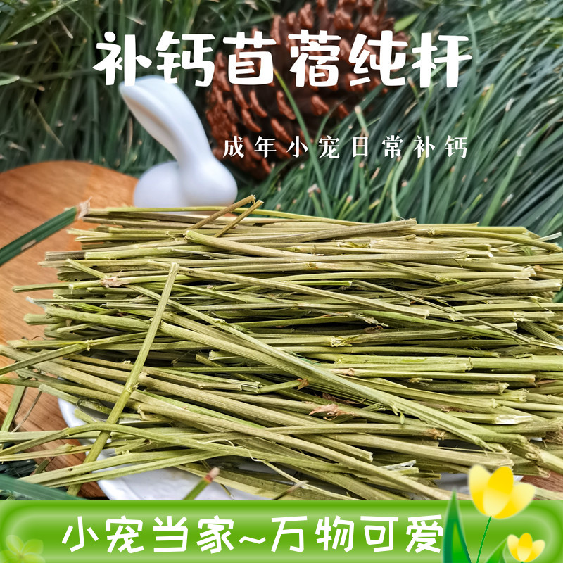 苜蓿纯杆补钙健康磨牙熊家