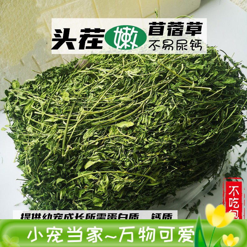 脆香嫩紫花苜蓿草幼兔粮低温营养烘干牧草兔子龙猫荷兰猪牧包邮,宠物/宠物食品及用品,兔兔干草,淘宝优惠券,粉丝福利购,淘宝优惠卷