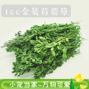 新草小包装苜蓿200克金装幼年成年补钙兔子荷兰猪龙猫牧草优蛋白