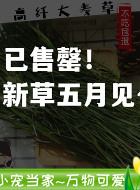 新草鲜活力大麦草驱虫兔子豚鼠龙猫牧草香脆高纤保护肠胃增肥包邮