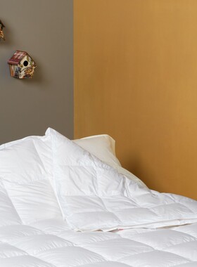 Minardi CHARME 全鹅绒被