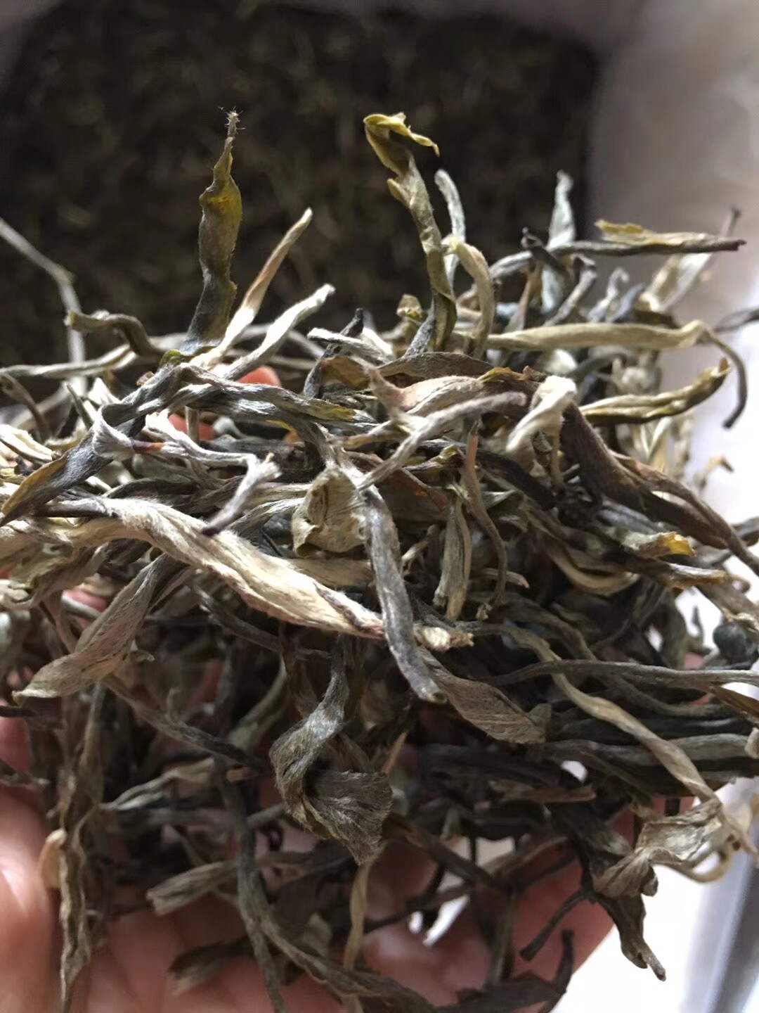 布朗山 古树茶 生茶 散茶 2022年 明前春 新茶 云南普洱茶 1000克