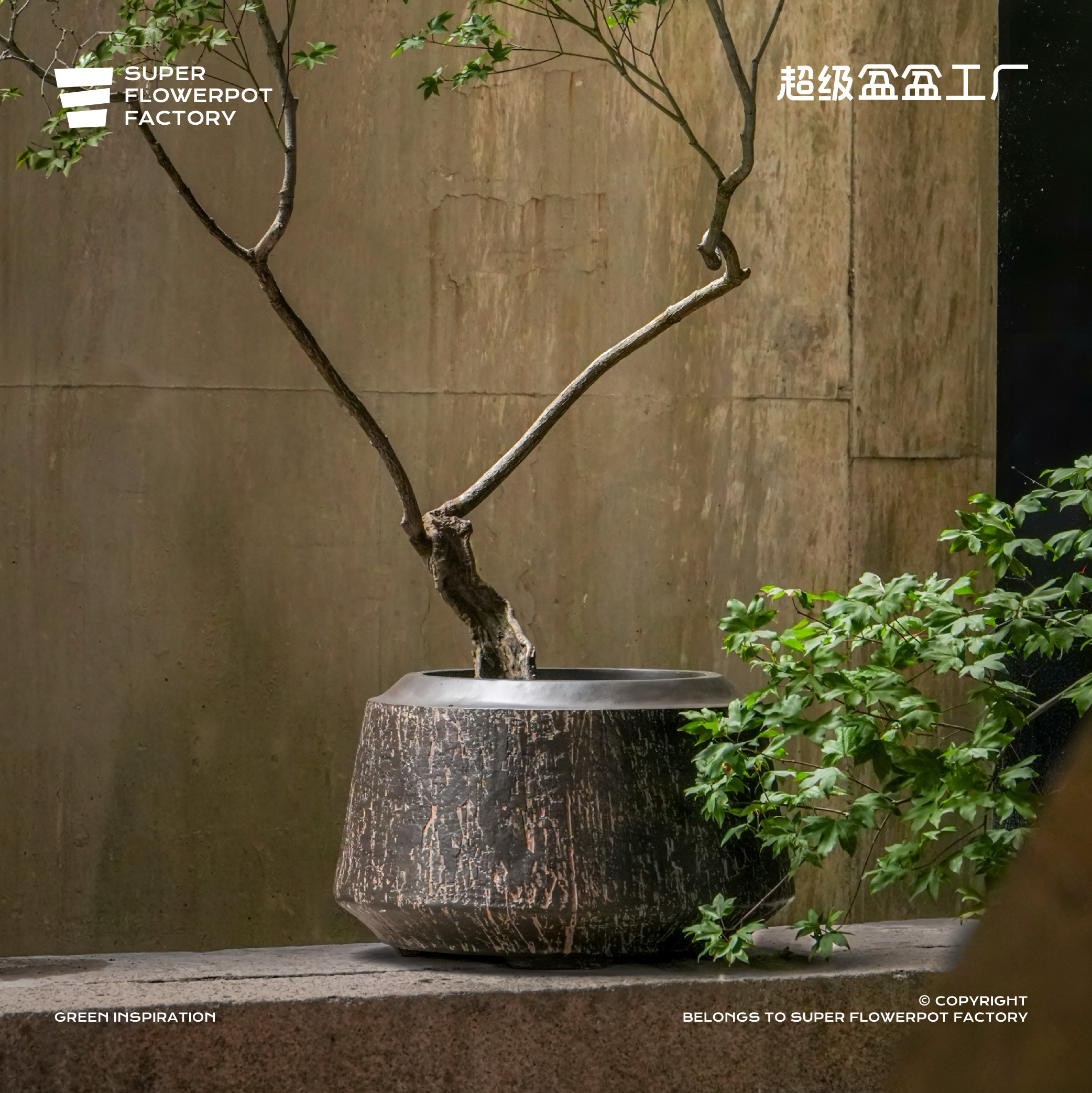 超级盆盆户外庭院落地复古陶罐