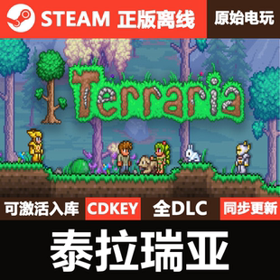 泰拉瑞亚Steam正版离线CDKEY国区激活码全DLC单机游戏Terraria