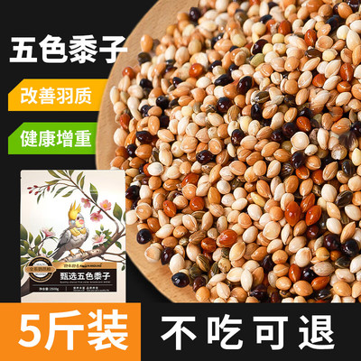 鹦鹉鸟粮饲料新黄谷子带壳小米玄凤专用虎皮牡丹中小型鸟食粮食