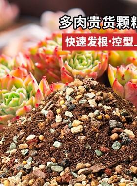 多肉颗粒土多肉土专用营养土壤种植土泥铺面石纯颗粒泥炭花土盆栽