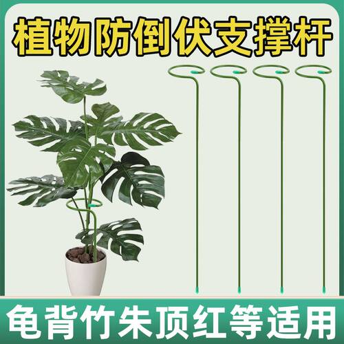 植物防倒伏支架铁艺绣球吊兰支撑杆园艺固定架爬藤花卉朱顶红花架