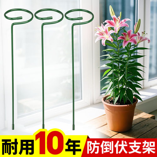 植物防倒伏支架铁艺绣球吊兰支撑杆园艺固定架爬藤花卉朱顶红花架