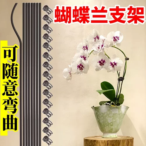 蝴蝶兰支架支撑杆爬藤蔓藤花卉固定专用花架花卉植物夹花定型夹子