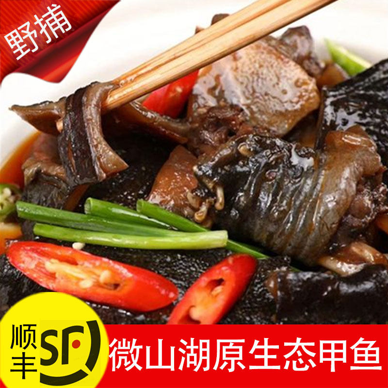 新鲜水鱼土王八甲鱼鲜活老鳖活鳖生态外塘甲鱼团鱼现杀杀好商用乌