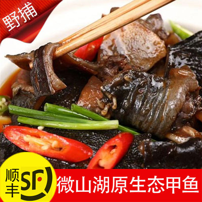 新鲜生态外塘现杀甲鱼王八活老鳖