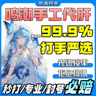 鸣潮代打代肝待带代练3.3跑全图探索度主线任务活动声骸托管数据