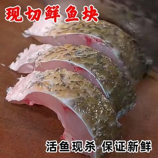 鲤鱼块活鱼现杀鱼身切块瓦块鱼红烧鱼块2斤装包邮