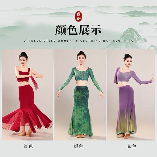 肚皮舞练功服新款傣族舞蹈服套装东方舞蹈服装初学者性感演出服女
