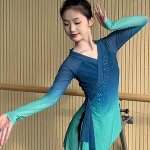 古典舞纱衣练功服女一条大河舞蹈服上衣演出服装绝美飘逸仙气