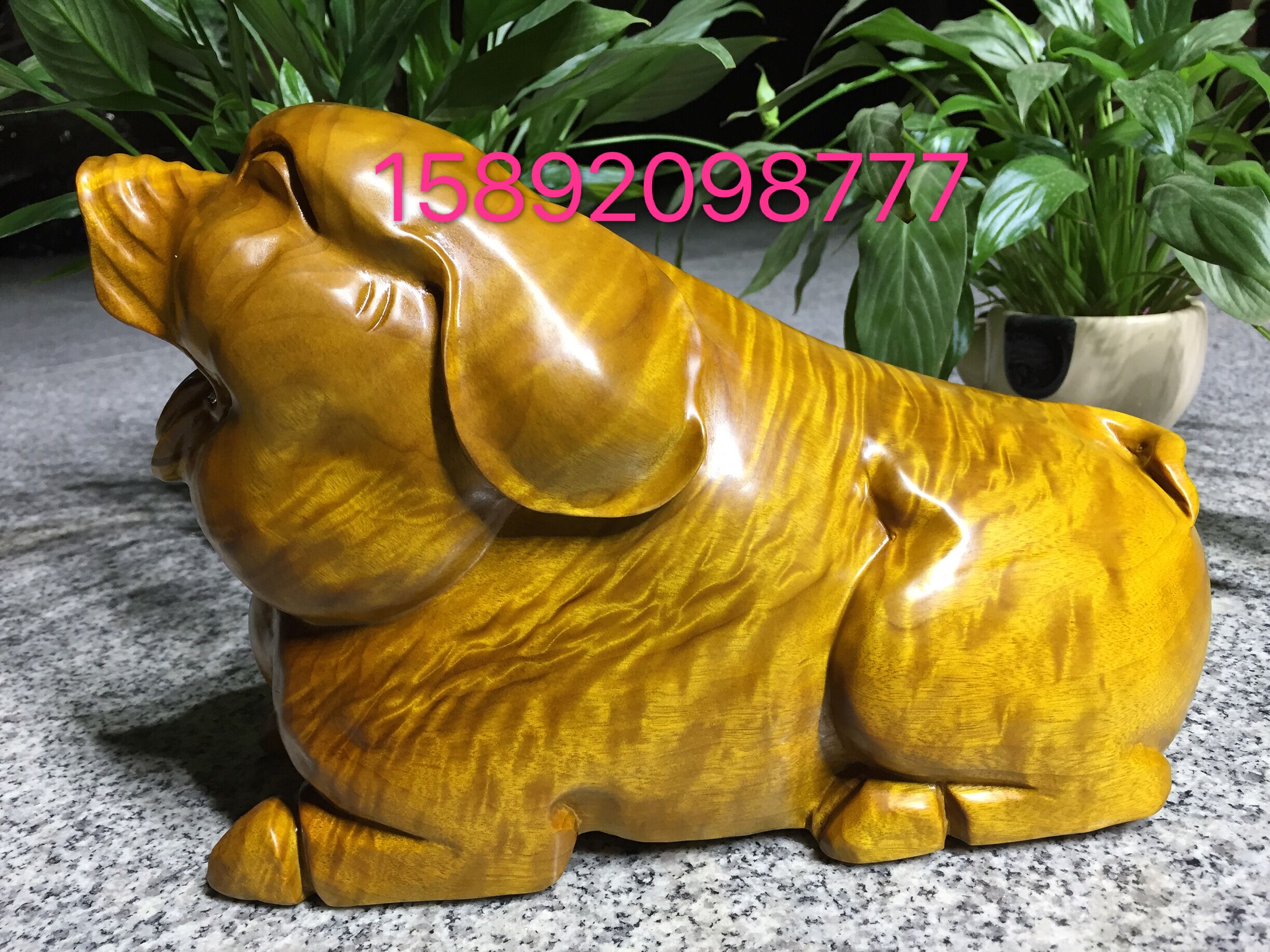 金丝楠木雕小叶桢楠招财猪摆件乌木动物工艺人物阴沉木根雕