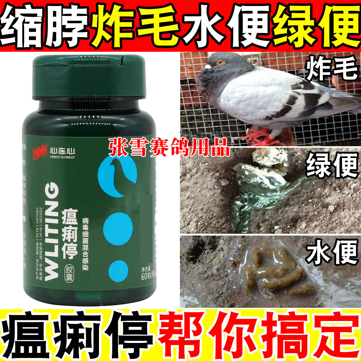 鸽子药大全心连心鸽药瘟痢停信鸽药沙门氏水便绿便呕吐甩食常见病