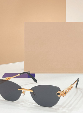 男女通用潮酷百搭遮阳墨镜