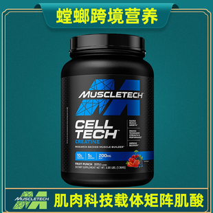 Muscletech肌肉科技载体肌酸粉 丙氨酸 α硫辛酸 Bcaa CELL TECH