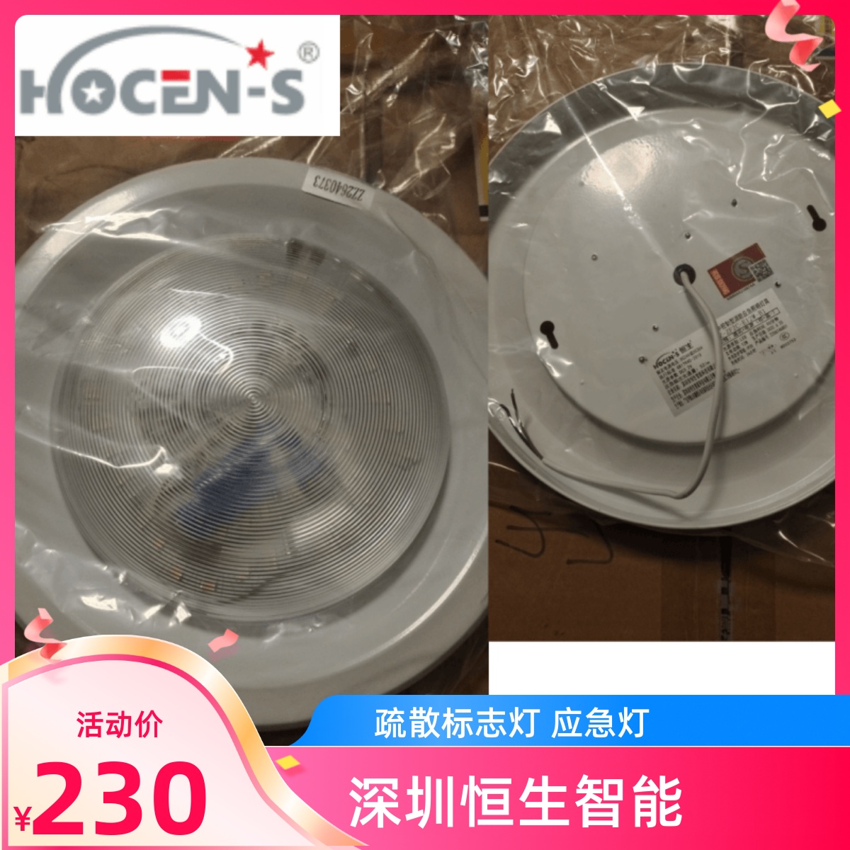 恒生应急灯 HZ-ZFJC-E12W-B1 恒生智能应急疏散照明灯 议价