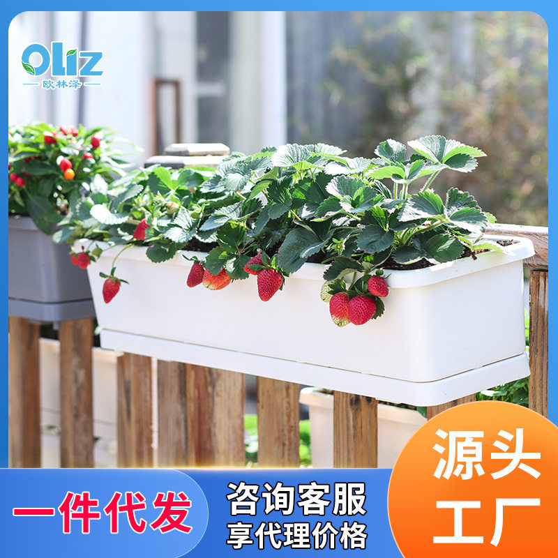 欧林泽一件阳台种菜花盆种菜盆