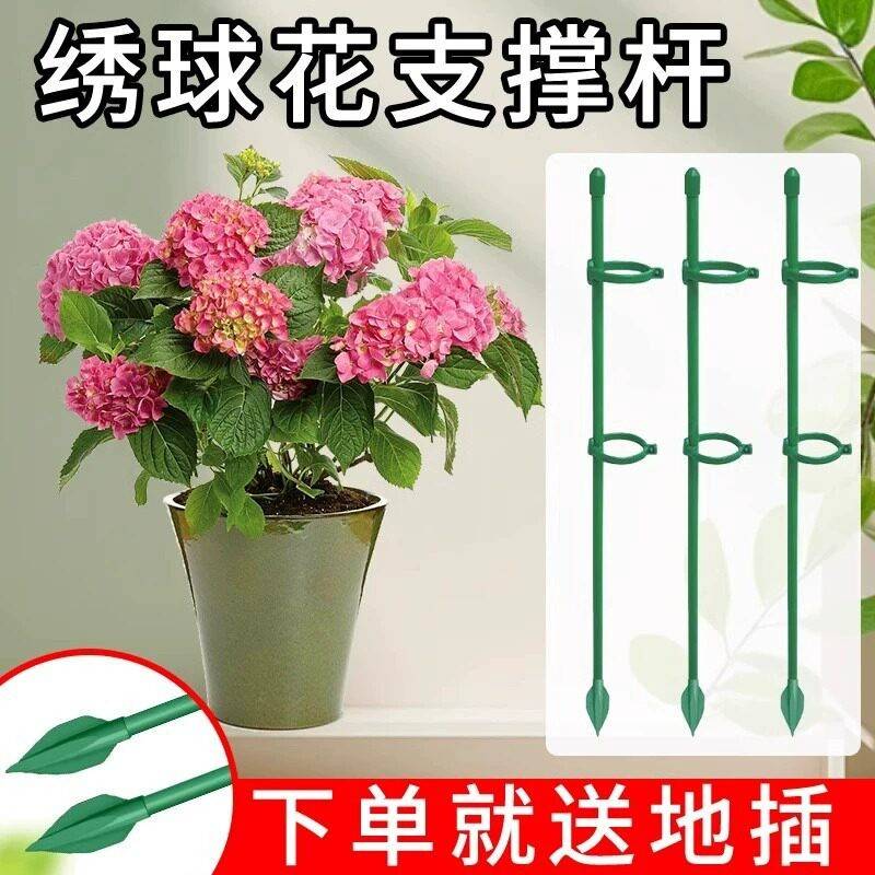 龟背芋番茄绣球西红固定杆爬藤园艺花架花支撑架植物防倒伏支伸缩