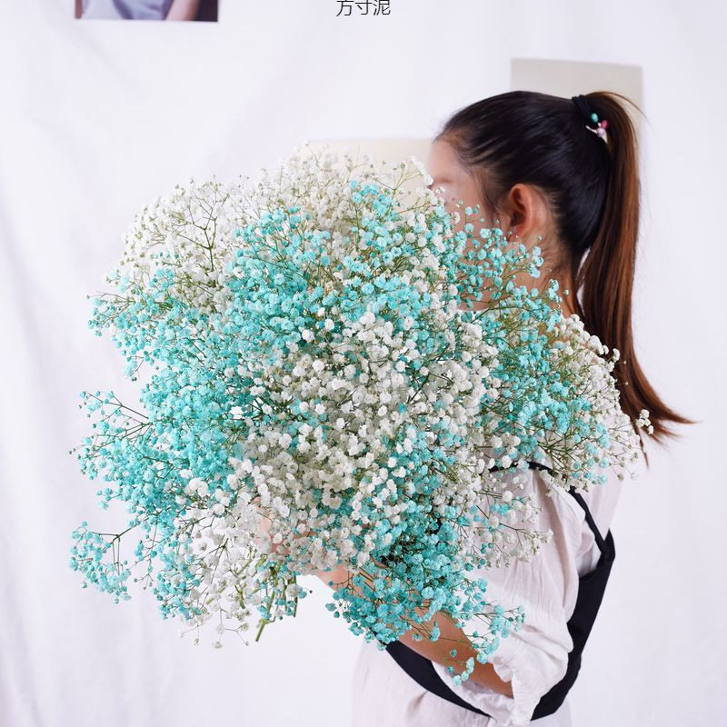 满天星干花称斤摆摊大束按斤卖