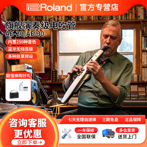 罗兰电吹管ae20初学者乐器大全