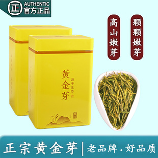 500g装 2025新茶叶黄金芽明前特级黄金茶春茶绿茶浓香型50g 250g