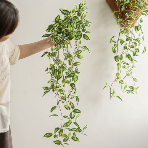 仿真金边翡翠吊兰垂吊植物盆栽