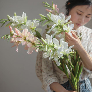 美人蕉假花仿真花摆设客厅室内装饰花卉花艺造景落地大花瓶插花