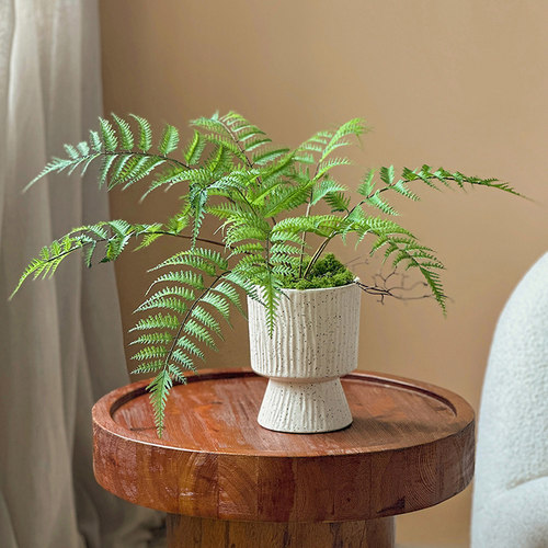 仿真绿植波斯叶造景摆件