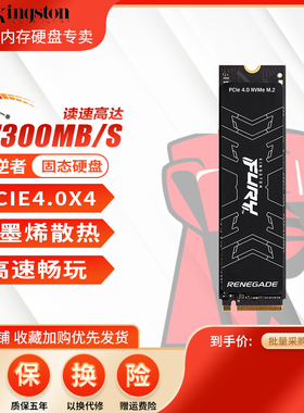 金士顿NV3/KC3000/叛逆者固态硬盘1T 2T 4T M.2 台式ps5笔记本SSD