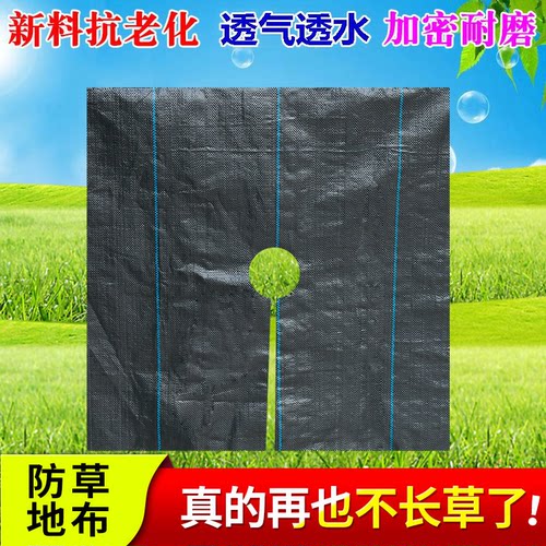 防草布除草布打孔切片农用盖草布抗老化地钉防草布果园果树地片