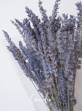 Cecilia 薰衣草干花花束生日婚礼天然香薰安神助眠永生花空运直发