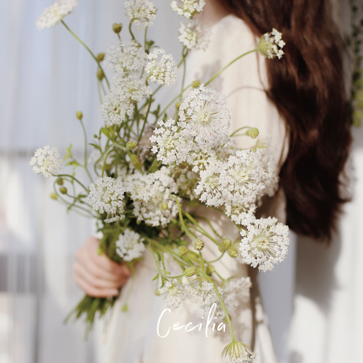 cecilia 翠珠花鲜花花束 小清新家用园艺配花 云南基地空运直发