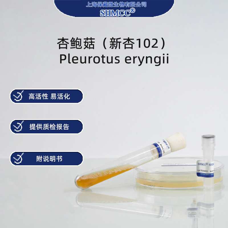 杏鲍菇新杏102 食用菌 栽培种 斜面保藏 新品包邮 - 实物图