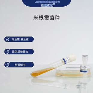 二代米根霉菌种 糖化酶生产 酿酒发酵 指示对照菌 上海