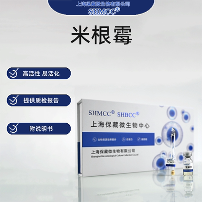 米根霉CGMCC3.1175 葡萄糖苷酶 产乳酸 少根根霉 冻干粉0代