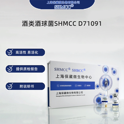 酒类酒球菌SHMCC D71091 0代标准菌种冻干粉