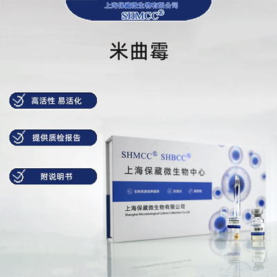 米曲霉3.042 CGMCC3.951 酱油酿造 蛋白酶高产 0代包邮